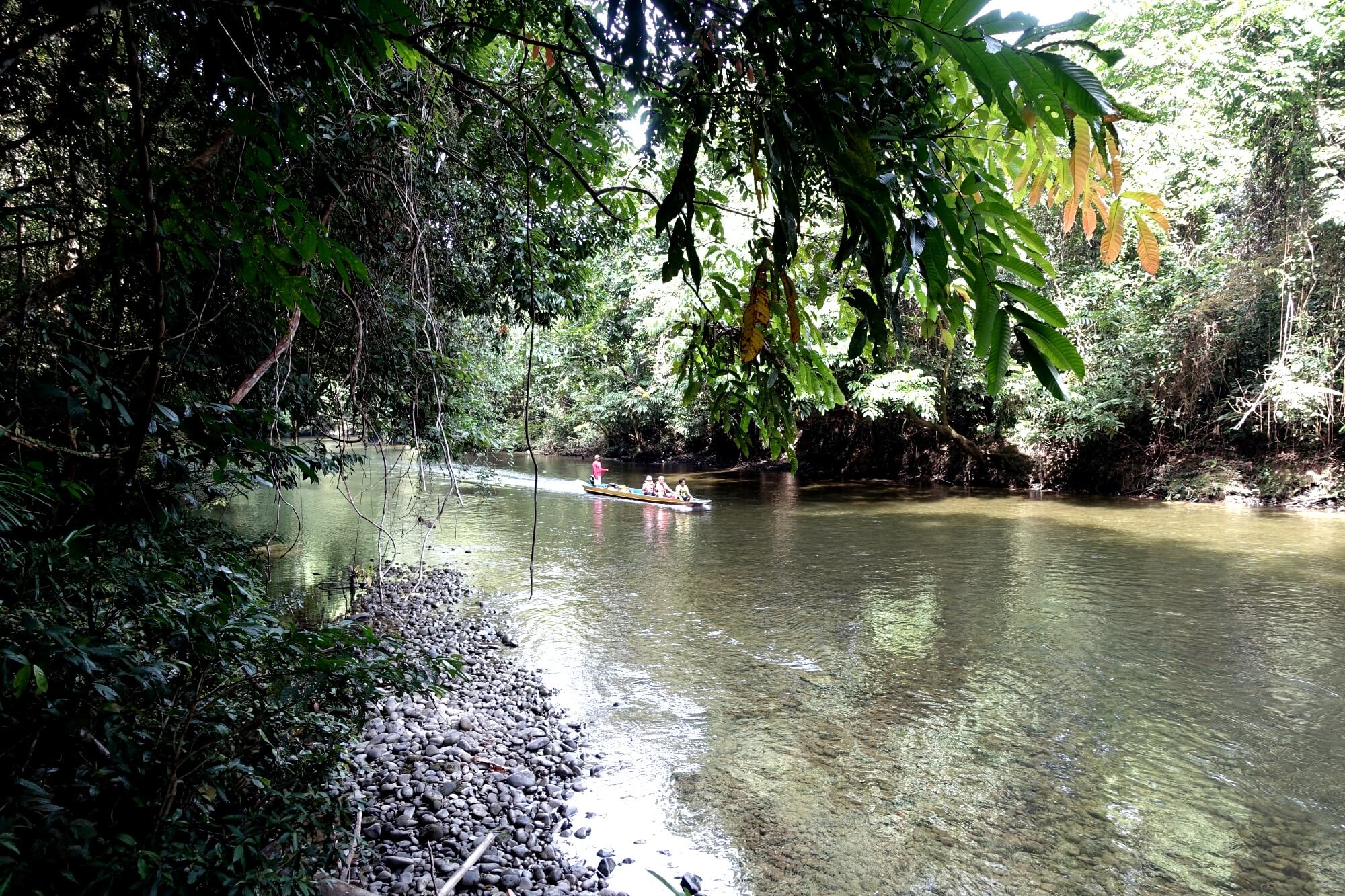 Nature and Swim